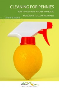 cleaningforpenniescover2-200x300