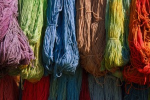 wool1